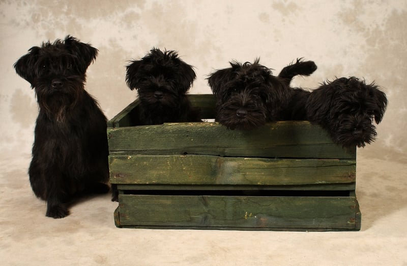 Wooden Crates